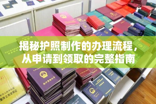 定西揭秘护照制作的办理流程，从申请到领取的完整指南
